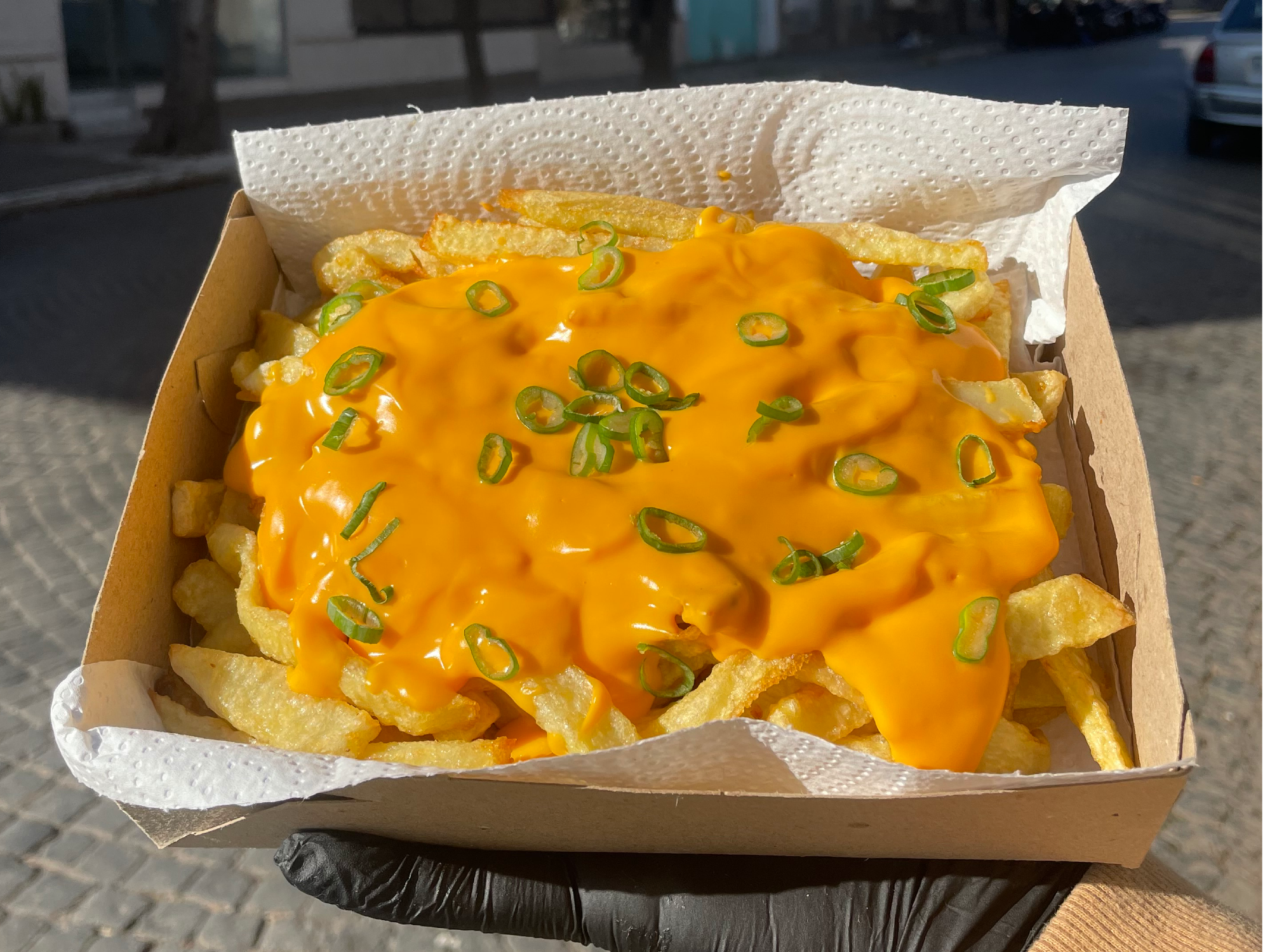 OPCIONES DE PAPAS