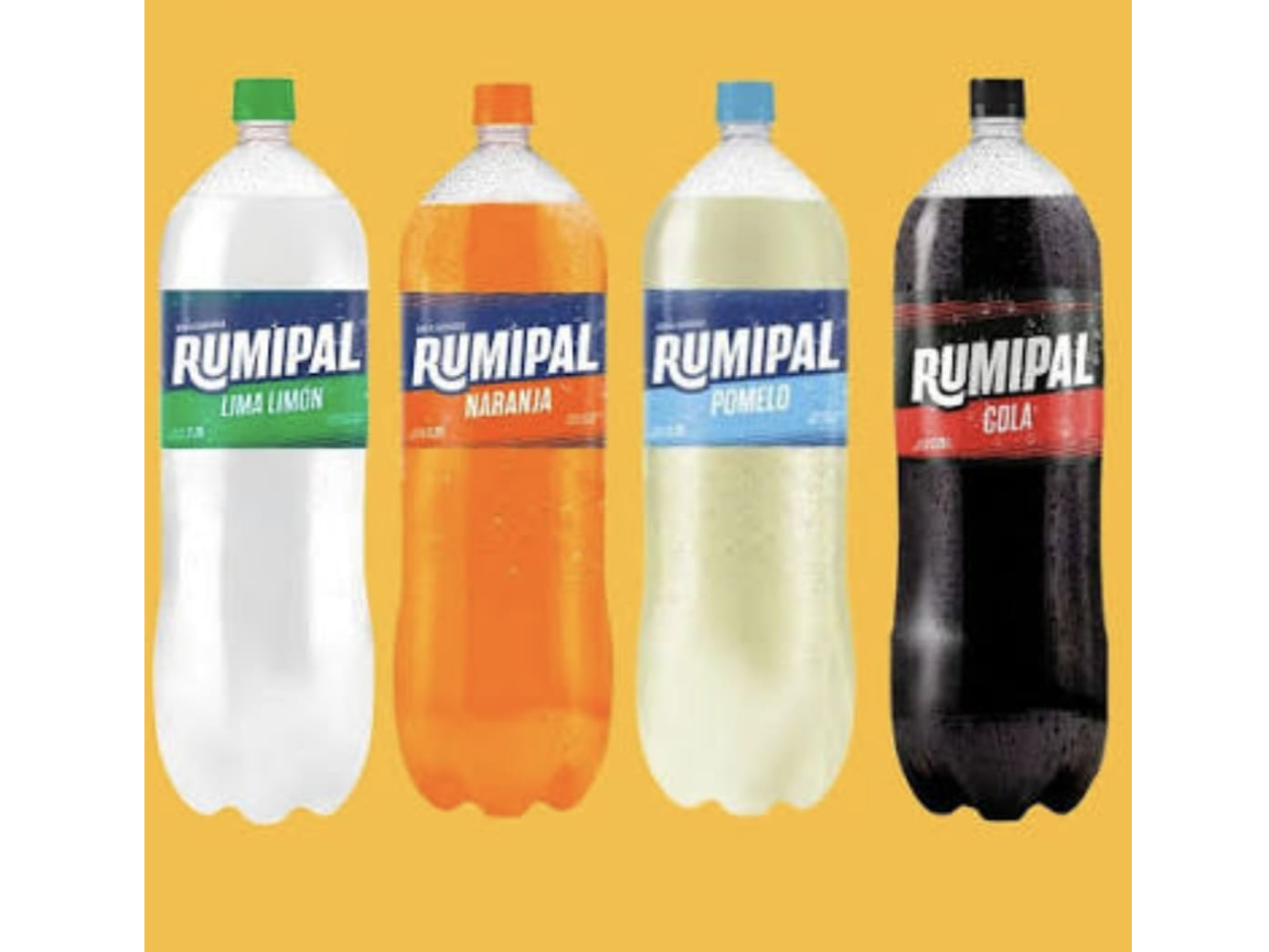 GASEOSAS RUMIPAL