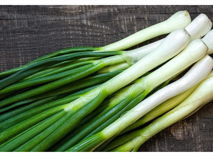 cebolla de verdeo