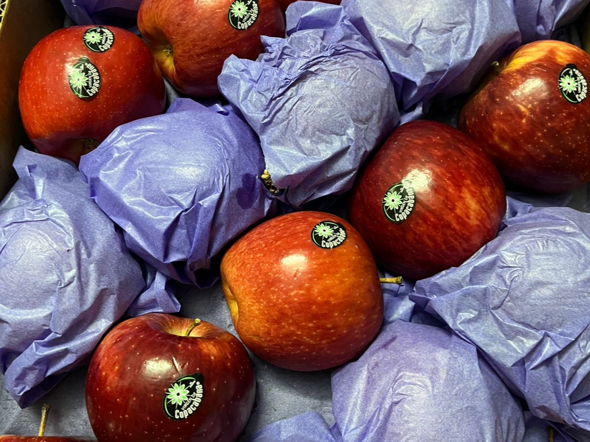 Manzana comercial (económica)