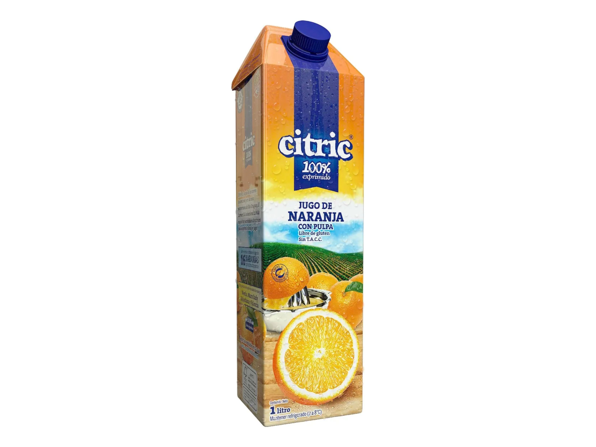 CITRIC NARANJA 1 LT