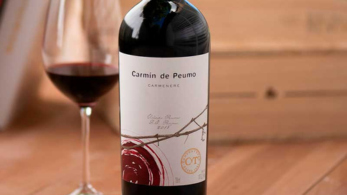 Vinos Tintos 3/4