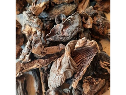 Hongo de pino x 250gr