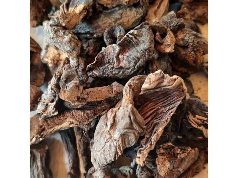 Hongo de pino x 250gr