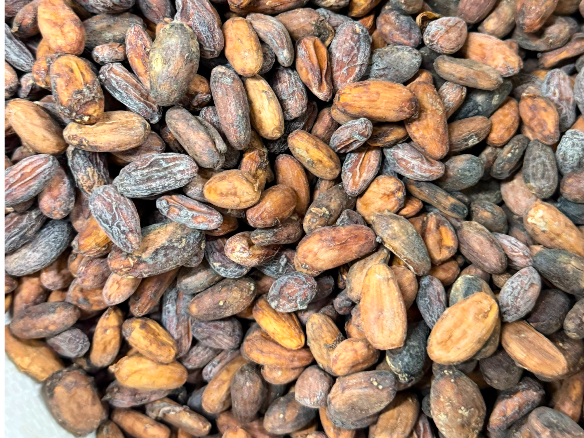 Producto de Frutos Secos Zapala | Minorista