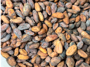 Semillas de Cacao Natural de Frutos Secos Zapala | Minorista
