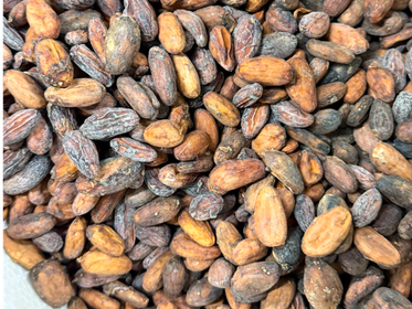 Producto de Frutos Secos Zapala | Minorista