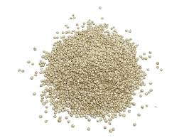 Quinoa blanca