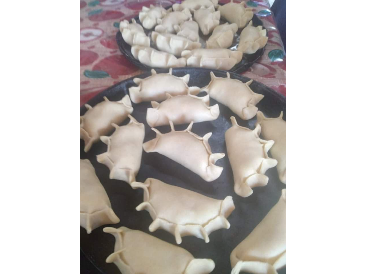 EMPANADAS DE POLLO 12u CRUDAS