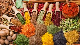 ESPECIAS Y CONDIMENTOS