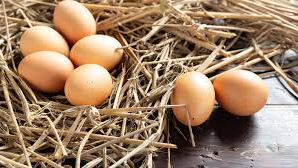 MAPLES DE HUEVOS AGROECOLÓGICOS