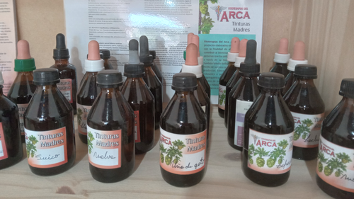 FITOTERAPIA -DEL ARCA-