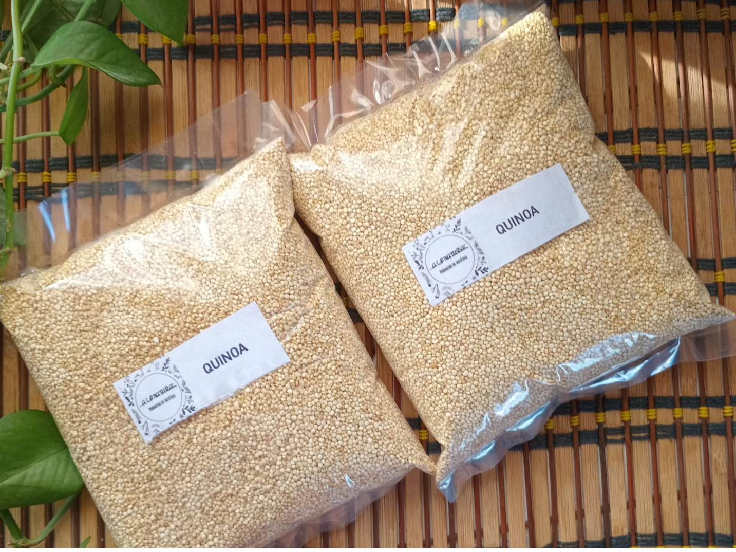 Quinoa real boliviana