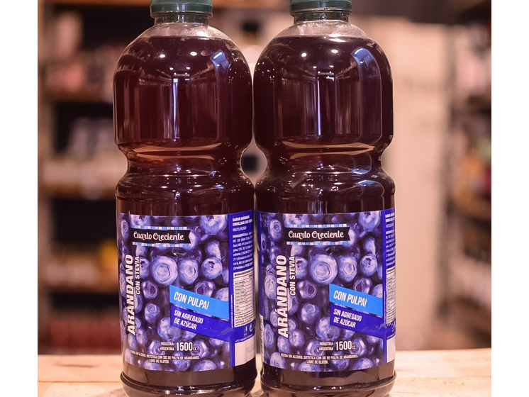 Jugo de Arándanos x 150cc - CUARTO CRECIENTE -
