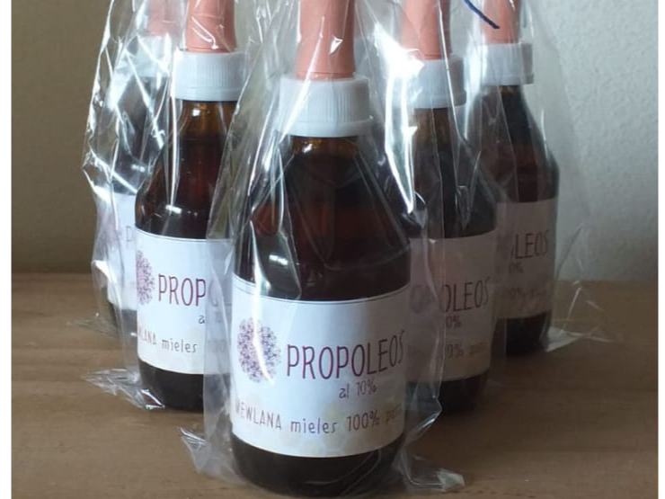 Propóleo frasco x 60cc