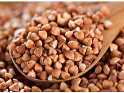 Semillas de Trigo Sarraceno