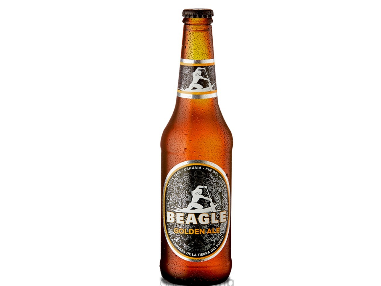 CERVEZA BEAGLE GOLDEN ALE 330ML