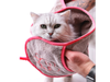 HOME Pet - Fibra para Mascotas