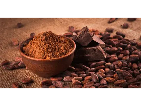 CACAO AMARGO GERKENS X  200 GRS