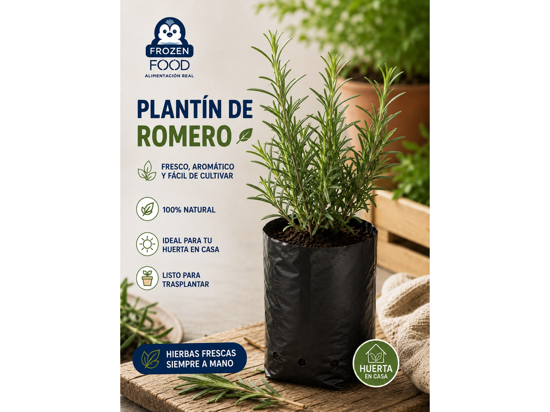 Plantín de Romero