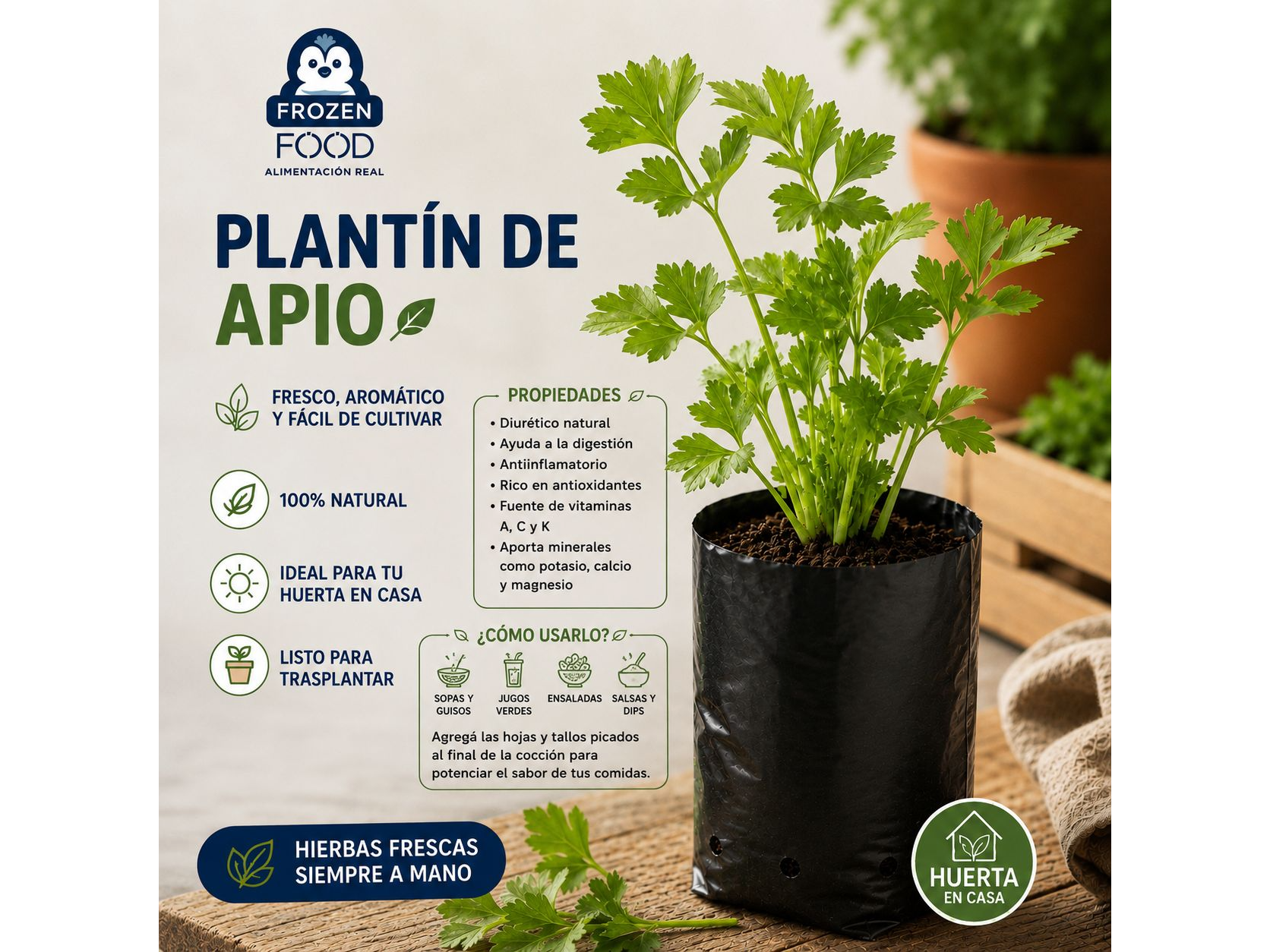 Plantín de Apio
