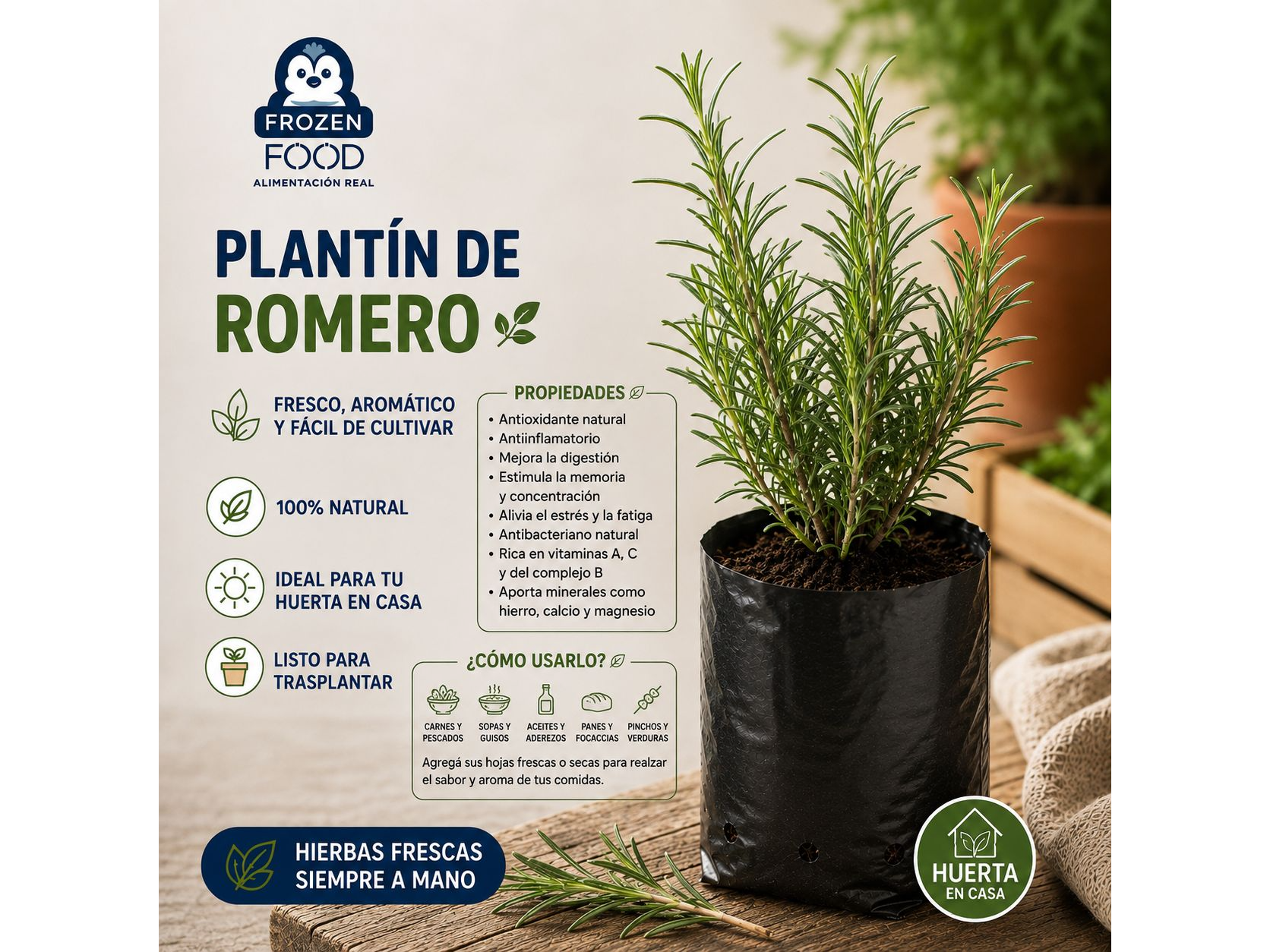 Plantín de Romero