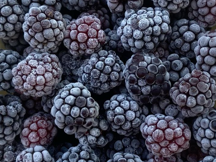 Zarzamora Bolsa Cong. de 1 Kg