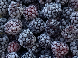 Zarzamora Bolsa Cong. de 1 Kg