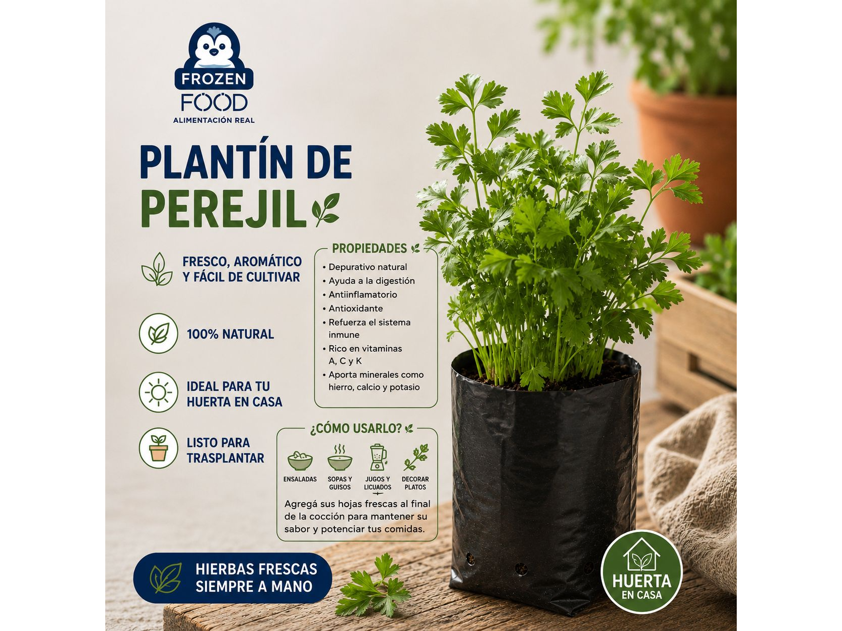 Plantín de Perejil