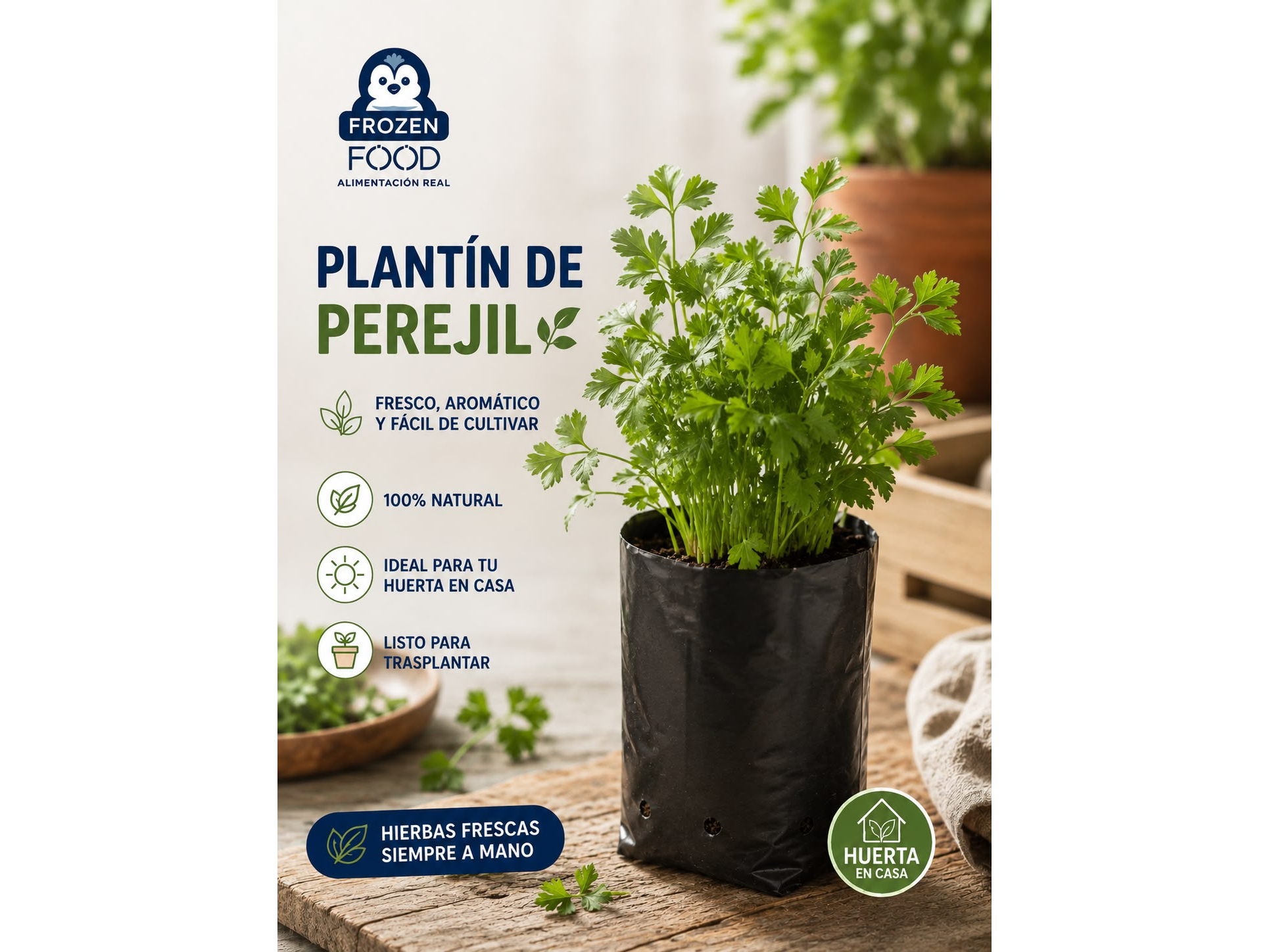 Plantín de Perejil