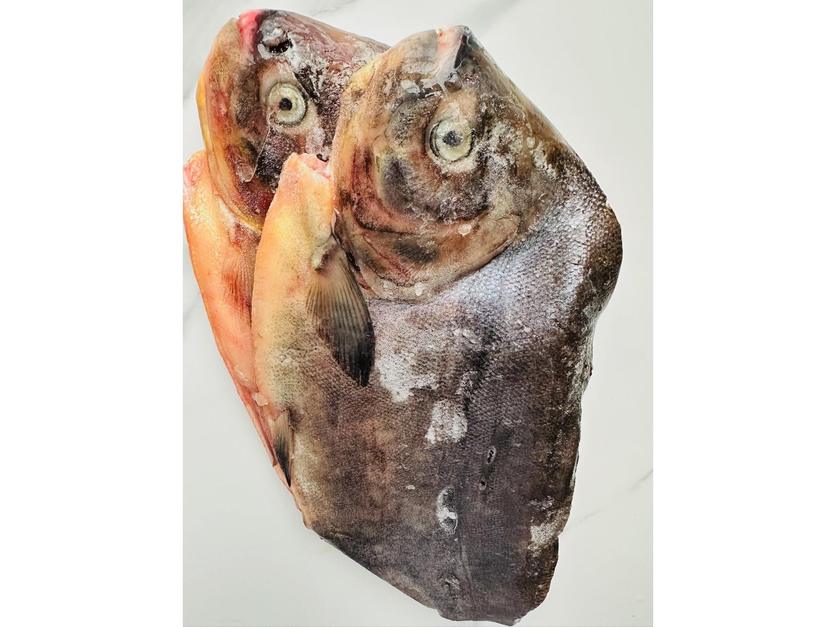 Pacú Arrocero Teko en Mitades despinado