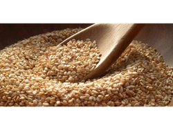 SEMILLAS DE SESAMO INTEGRAL x100 grs