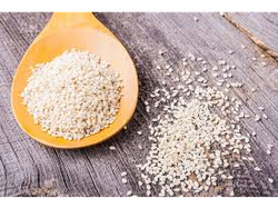 SEMILLAS DE SESAMO BLANCO x100 grs