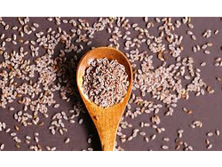 Semillas de Psyllium
