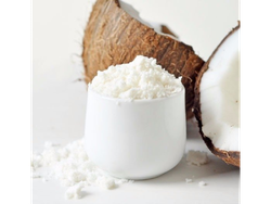 Leche de coco en polvo a granel x100 grs
