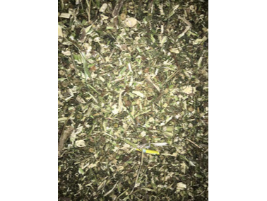 DIENTE DE LEON HIERBA x50 grs