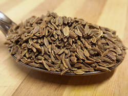 Semillas de Eneldo x100 grs