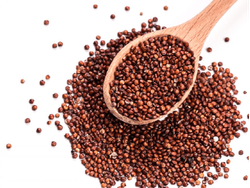Semillas de Quinoa roja o negra x100 grs