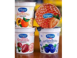 Yogurt Tregar descremado con frutas x160 grs