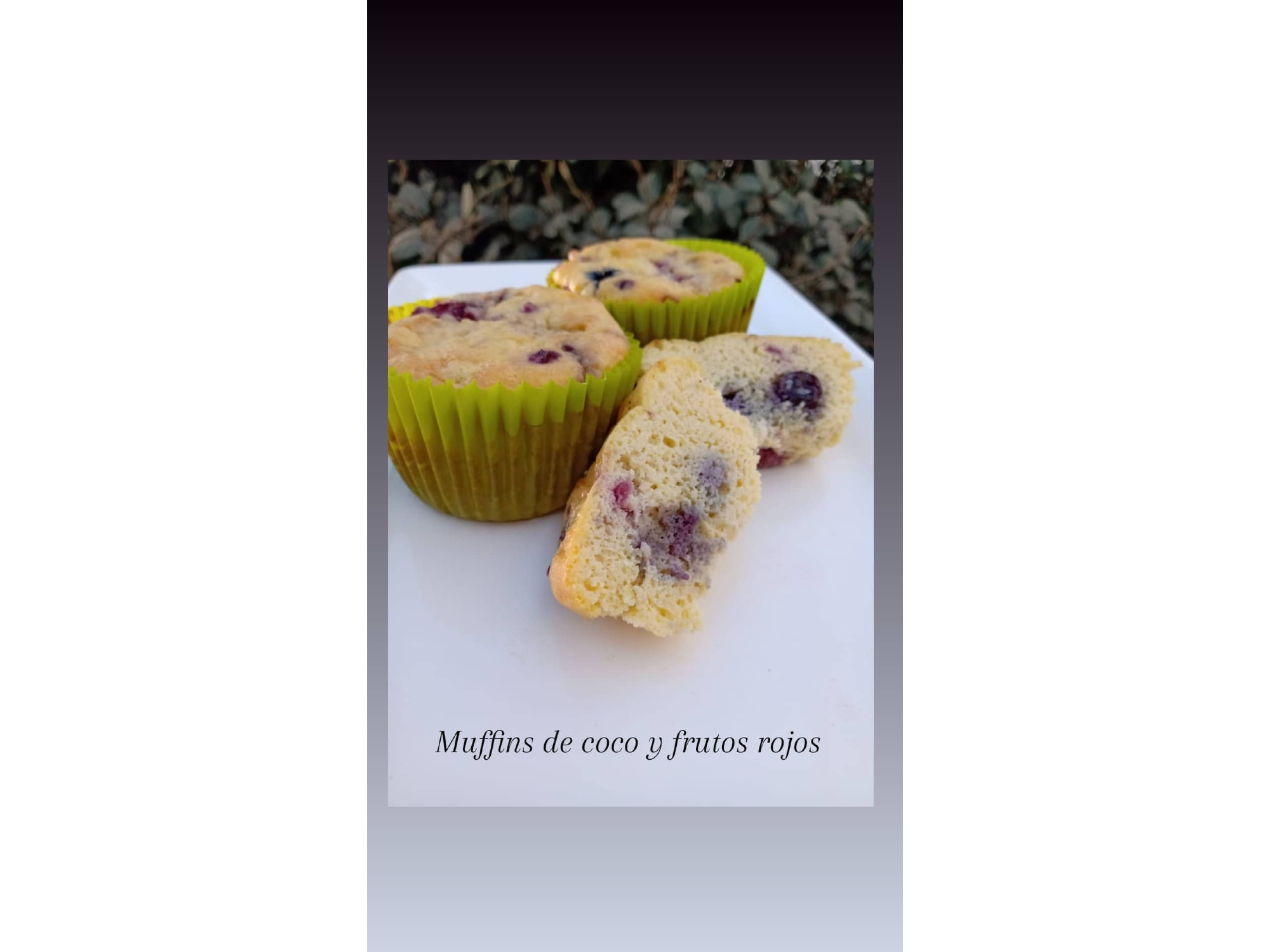 Muffins sin tacc y sin azúcar x6 unds
