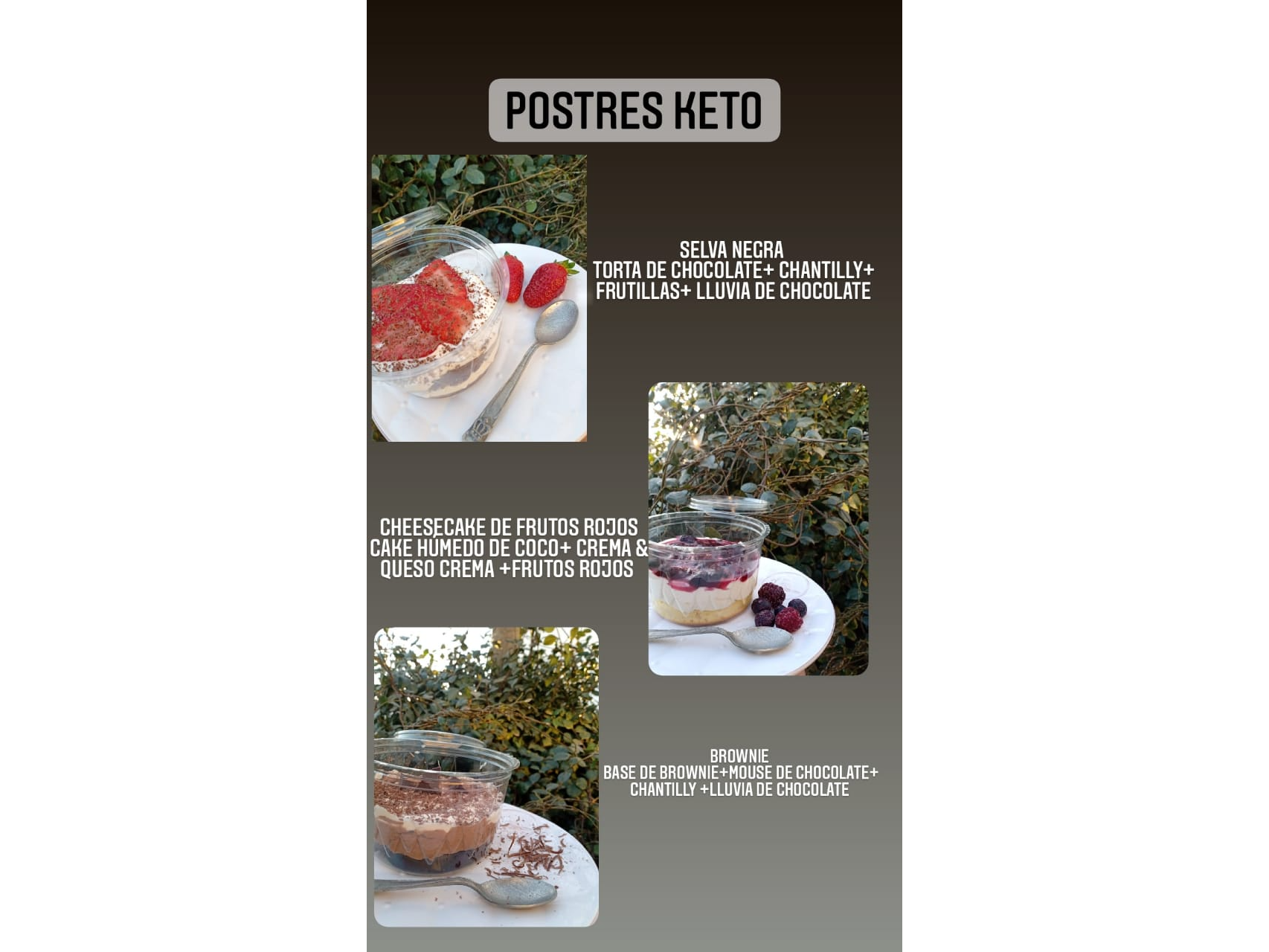 Postres Keto x 1 und