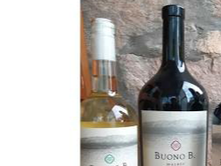 Vino Buono B. orgánicos x750 cc