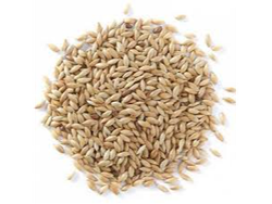 Semillas de alpiste p/humanos x100 grs