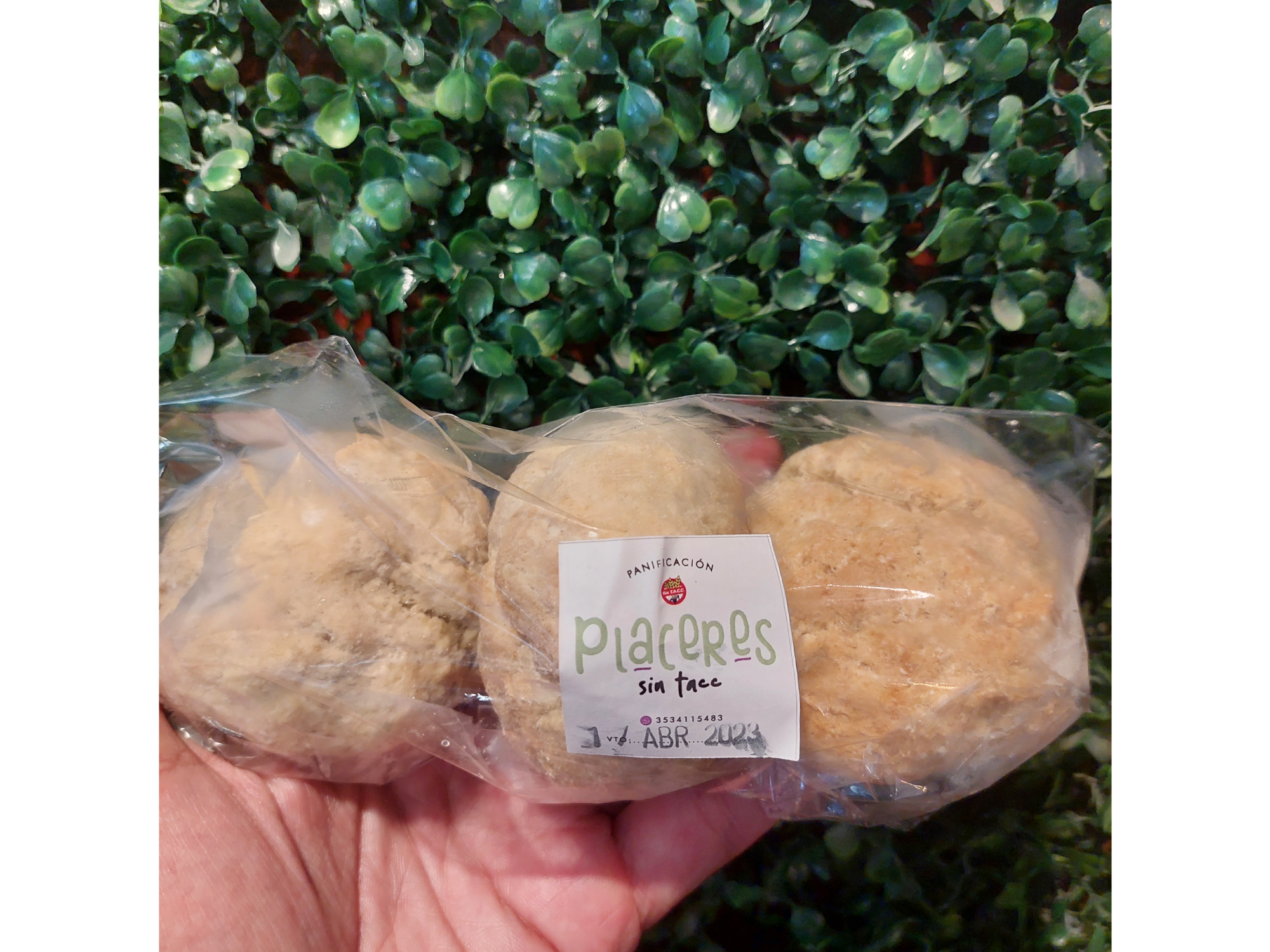 Pan de trigo sarraceno Placeres sin tacc x3 unds