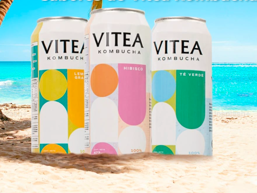 KOMBUCHA VITEA LATA X473 ML (Copia)