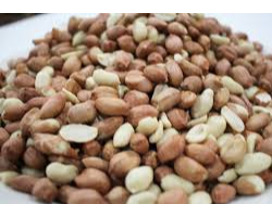 Mani crudo a granel x100 grs (Copia)