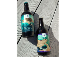 CERVEZA TARTARUGA SIN TACC X500 ML (Copia)