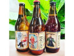 CERVEZA LA CAVERNA DEL BRUJO X500 ML (Copia)