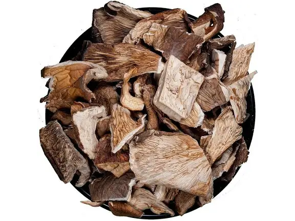 HONGOS GIRGOLA OYSTER X50 grs (Copia)