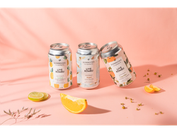 KOMBUCHA LIVEKOMBU X473 ML